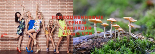 стафф Баксан