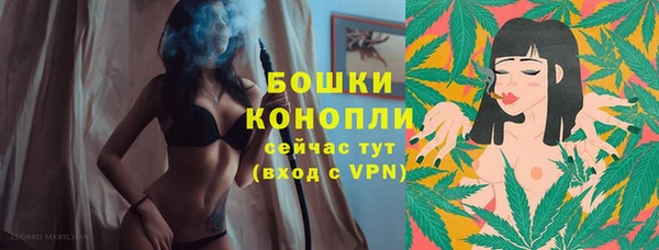 эйфоретик Белокуриха