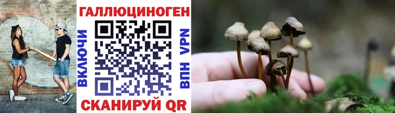 это клад Томилино Псилоцибиновые грибы мицелий