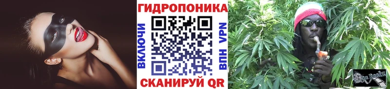 хочу   блэк спрут вход  Бошки марихуана сатива  Томилино 